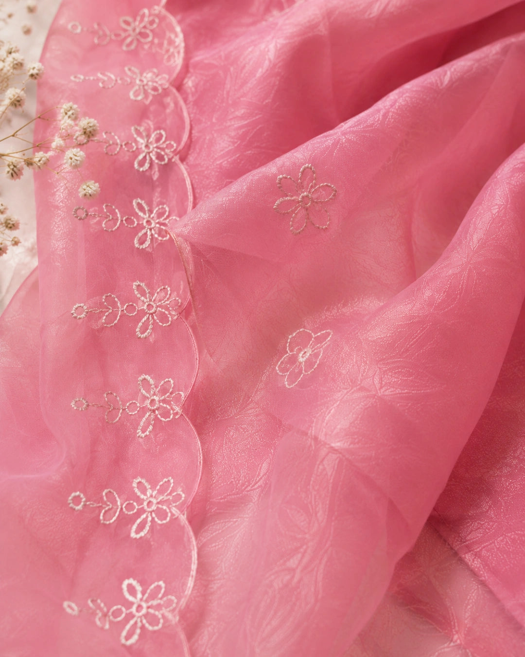 Kashni Organza Anarkali With Dupatta